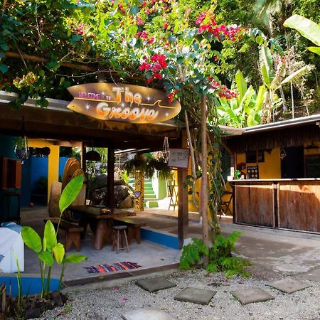Sintonia Surf Hostel E Bar Ubatuba Ngoại thất bức ảnh